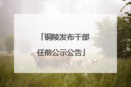 铜陵发布干部任前公示公告