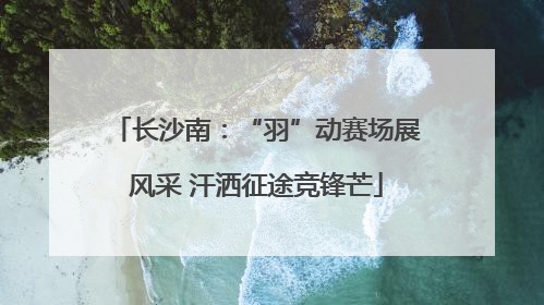 长沙南：“羽”动赛场展风采 汗洒征途竞锋芒