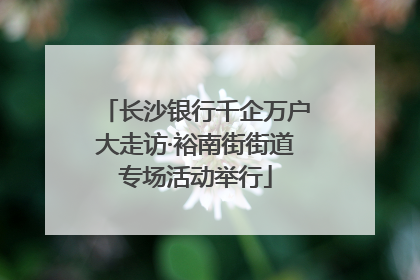 长沙银行千企万户大走访·裕南街街道专场活动举行
