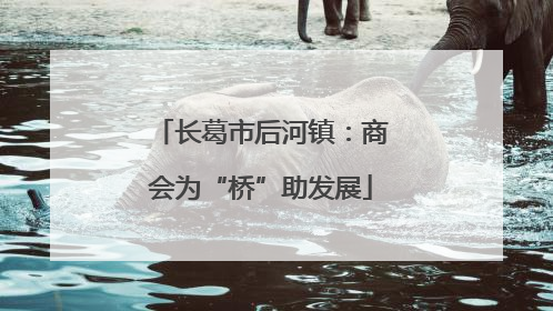 长葛市后河镇：商会为“桥”助发展