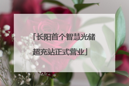 长阳首个智慧光储超充站正式营业