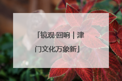 镜观·回响｜津门文化万象新