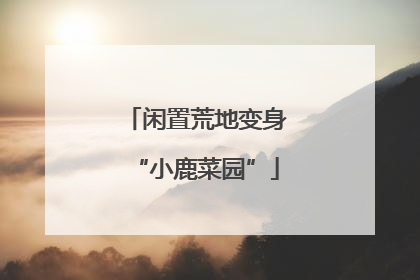 闲置荒地变身“小鹿菜园”