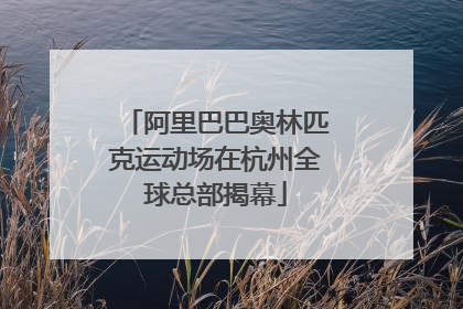 阿里巴巴奥林匹克运动场在杭州全球总部揭幕