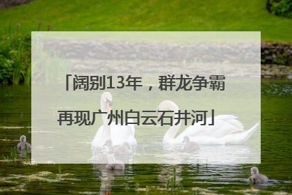 阔别13年，群龙争霸再现广州白云石井河