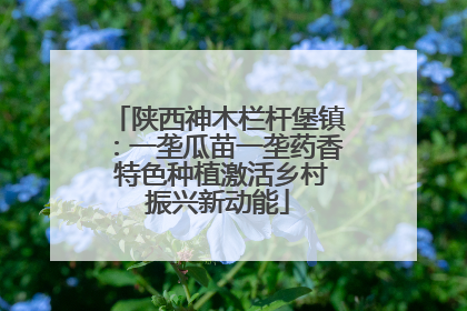 陕西神木栏杆堡镇：一垄瓜苗一垄药香 特色种植激活乡村振兴新动能