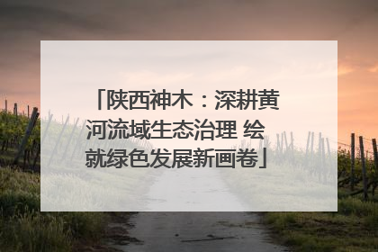 陕西神木：深耕黄河流域生态治理 绘就绿色发展新画卷