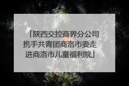 陕西交控商界分公司携手共青团商洛市委走进商洛市儿童福利院