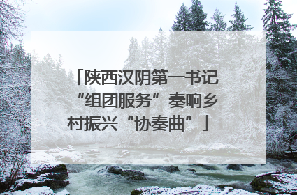 陕西汉阴第一书记“组团服务”奏响乡村振兴“协奏曲”