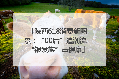 陕西618消费新图景：“00后”追潮流 “银发族”重健康