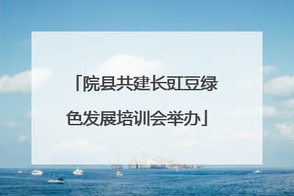 院县共建长豇豆绿色发展培训会举办