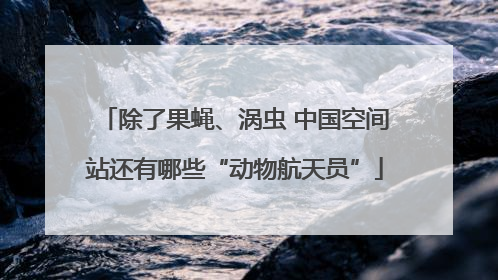 除了果蝇、涡虫 中国空间站还有哪些“动物航天员”