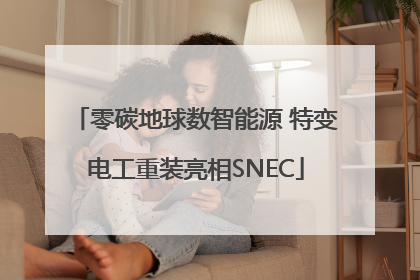 零碳地球数智能源 特变电工重装亮相SNEC