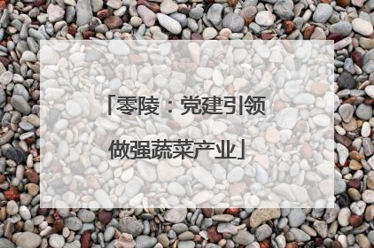 零陵：党建引领 做强蔬菜产业