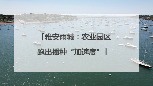 雅安雨城：农业园区跑出播种“加速度”