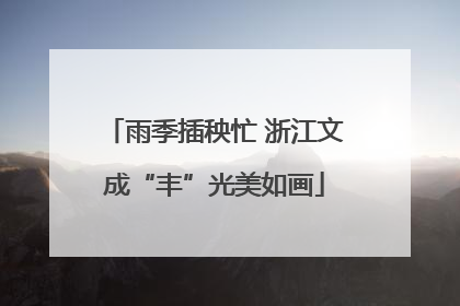雨季插秧忙 浙江文成“丰”光美如画