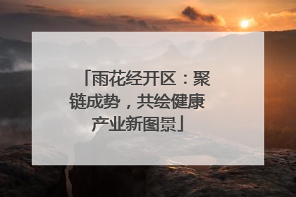 雨花经开区：聚链成势，共绘健康产业新图景