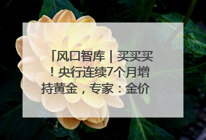风口智库｜买买买！央行连续7个月增持黄金，专家：金价或仍易涨难跌