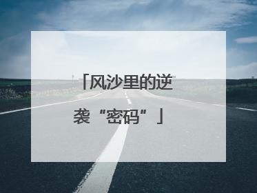 风沙里的逆袭“密码”