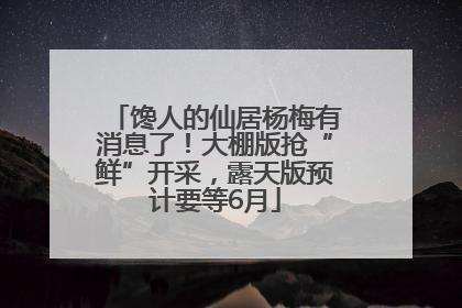 馋人的仙居杨梅有消息了！大棚版抢“鲜”开采，露天版预计要等6月