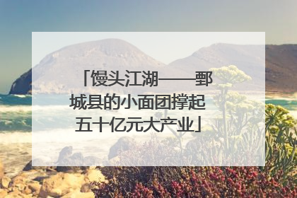 馒头江湖——鄄城县的小面团撑起五十亿元大产业