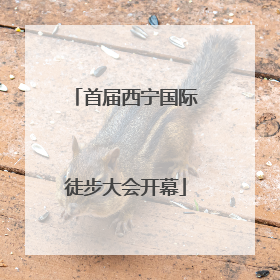 首届西宁国际徒步大会开幕
