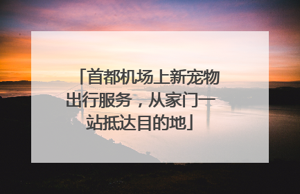 首都机场上新宠物出行服务，从家门一站抵达目的地