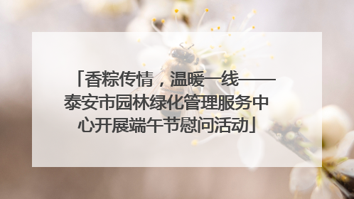 香粽传情，温暖一线——泰安市园林绿化管理服务中心开展端午节慰问活动
