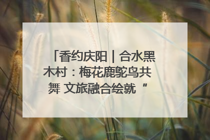 香约庆阳｜合水黑木村：梅花鹿鸵鸟共舞 文旅融合绘就“诗与远方”