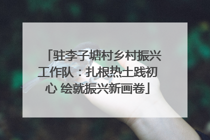驻李子塘村乡村振兴工作队：扎根热土践初心 绘就振兴新画卷
