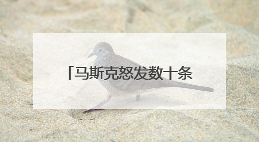 马斯克怒发数十条帖文“倒特”，特朗普：好好查查他，没政府补贴他“早回南非老家”了