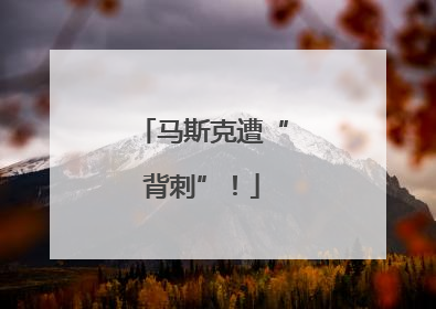 马斯克遭“背刺”！