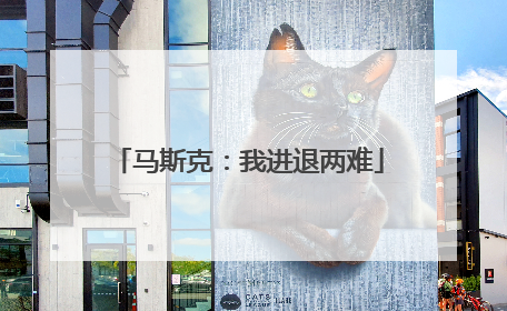 马斯克：我进退两难