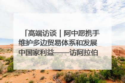 高端访谈｜阿中愿携手维护多边贸易体系和发展中国家利益——访阿拉伯议会议长亚马希