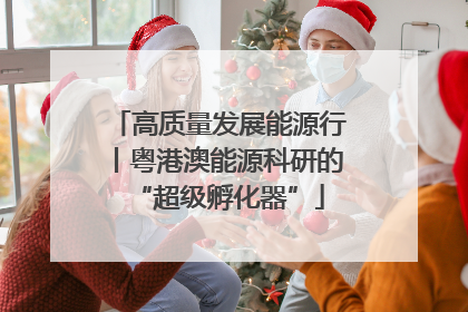 高质量发展能源行丨粤港澳能源科研的“超级孵化器”