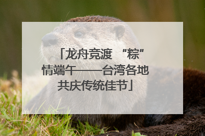 龙舟竞渡 “粽”情端午——台湾各地共庆传统佳节