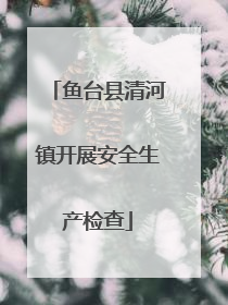 鱼台县清河镇开展安全生产检查