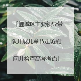 鲤城区主要领导带队开展儿童节走访慰问并检查高考考点