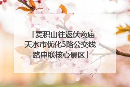 麦积山往返伏羲庙 天水市优化5路公交线路串联核心景区