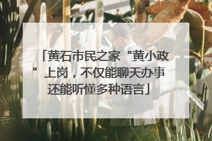 黄石市民之家“黄小政”上岗，不仅能聊天办事还能听懂多种语言