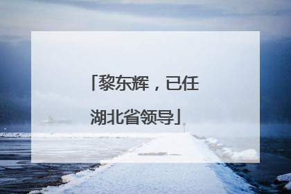 黎东辉，已任湖北省领导