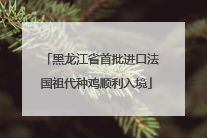 黑龙江省首批进口法国祖代种鸡顺利入境