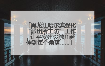 黑龙江哈尔滨强化“派出所主防”工作，让平安建设触角延伸到每个角落……