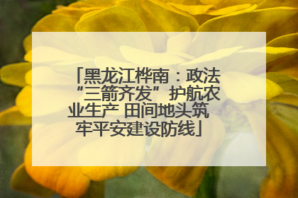 黑龙江桦南：政法“三箭齐发”护航农业生产 田间地头筑牢平安建设防线