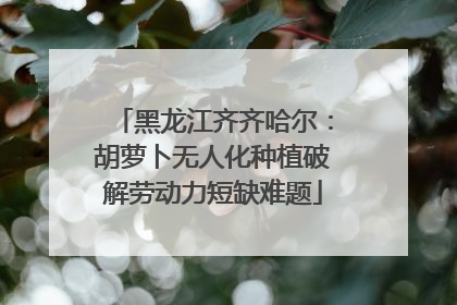 黑龙江齐齐哈尔：胡萝卜无人化种植破解劳动力短缺难题