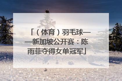 （体育）羽毛球——新加坡公开赛：陈雨菲夺得女单冠军