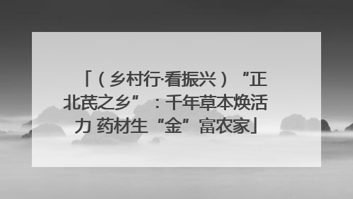 （乡村行·看振兴）“正北芪之乡”：千年草本焕活力 药材生“金”富农家