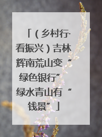 （乡村行·看振兴）吉林辉南荒山变“绿色银行” 绿水青山有“钱景”