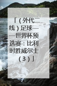 （外代二线）足球——世界杯预选赛：比利时胜威尔士（3）