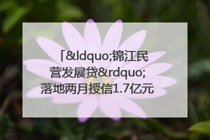 “锦江民营发展贷”落地两月授信1.7亿元，惠及118家民企